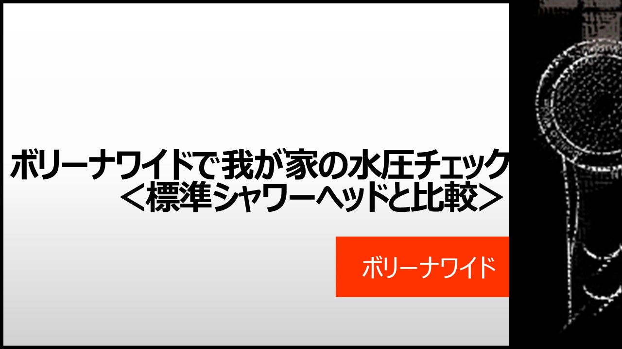 ボリーナワイドのレビュー